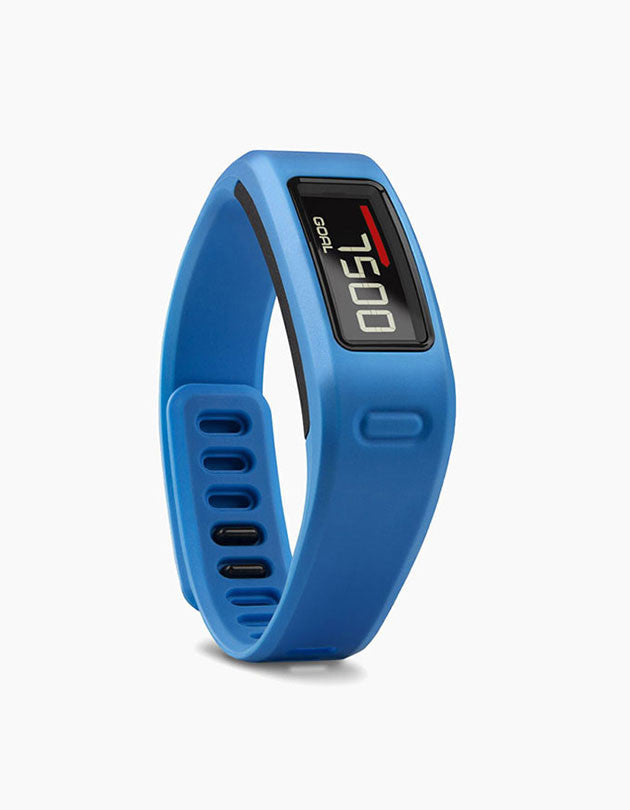 Garmin Vivofit Fitness Band